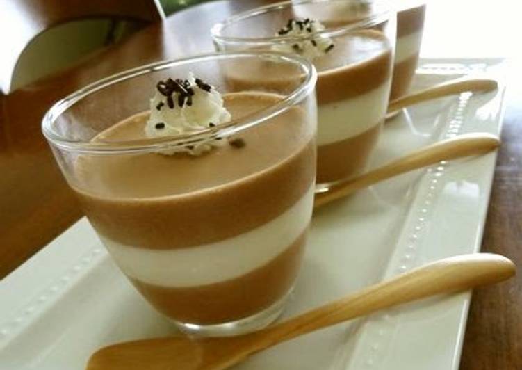 Fluffy Chocolate & Cream Bavarois