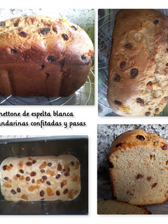 Una foto de Panettone de espelta blanca con mandarinas confitadas y pasas (en panificadora)