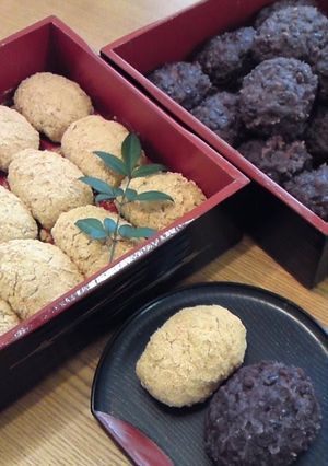 A picture of Ohagi with Adzuki Beans and Kinako Powder.