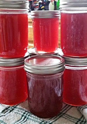 A picture of Tinklee's Raspberry Lemonade Moonshine.