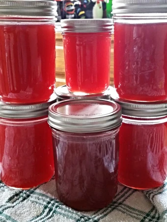 Recipe Tinklee&#39;s Raspberry Lemonade Moonshine the Delicious Makes you drool