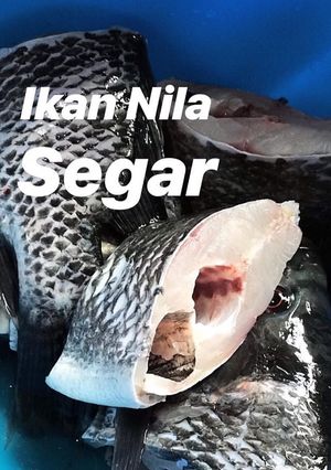 Foto resep Sop ikan nila segar