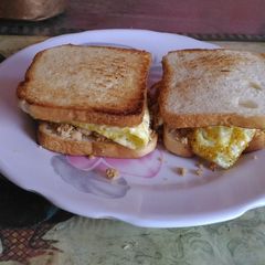 Chicken sandwich A picture of Chicken sandwich.