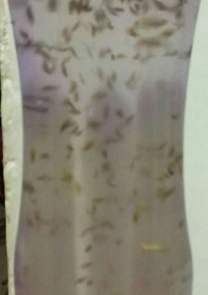 A picture of Weight Loss water by Nancy.
