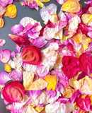 🌱 Trà Hoa Hồng Sấy Khô Giữ Mùi Thơm & Màu Đẹp