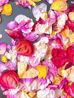 Hình của món 🌱 Trà Hoa Hồng Sấy Khô Giữ Mùi Thơm & Màu Đẹp.