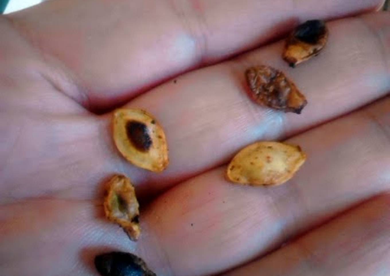 Way To Easy Bbq Flavored Toasted Zucchini Squash Seeds halloween