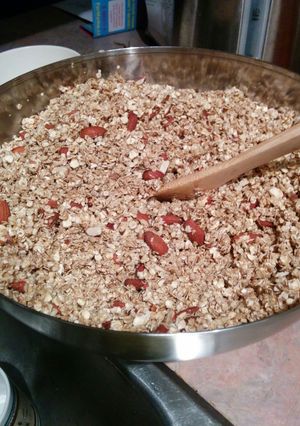 A picture of Simple Granola.