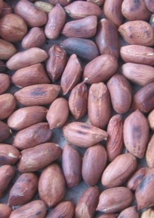 A picture of Roasted groundnuts ' njugu karanga'.