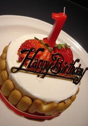 A picture of My First Birthday Cake - Using No Eggs.