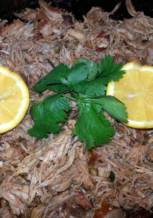A picture of Kyle's Carnita's.