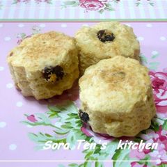 A picture of Easy & Low-Cal Okara Scones.