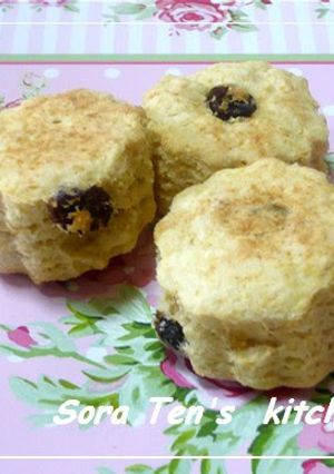 A picture of Easy & Low-Cal Okara Scones.