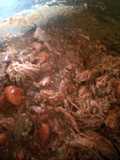 Mandys shredded beef and gravy