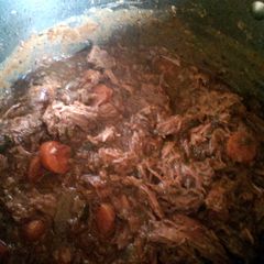 A picture of Mandys shredded beef and gravy.