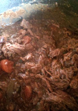 A picture of Mandys shredded beef and gravy.