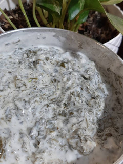 عکسی از دستور بورانی اسفناج