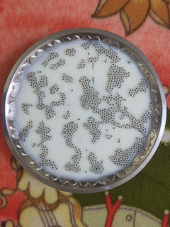 பால் கடல் பாசி சப்ஜா செய்முறை முக்கிய புகைப்படம்