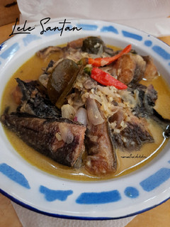 Foto resep Lele Santan