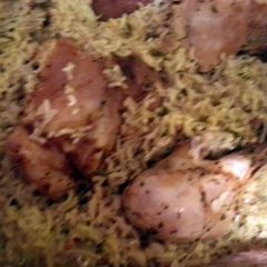 A picture of chicken casserole.