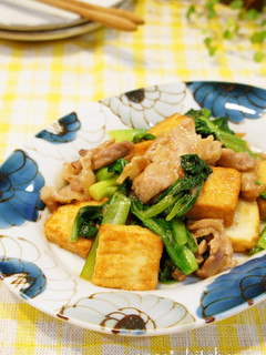 A picture of Pork, Greens, Atsuage in Oyster Sauce.