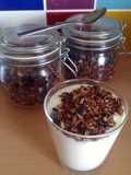 Vickys Chocolate Granola GF DF EF SF NF