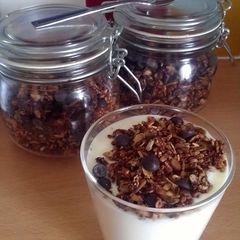 A picture of Vickys Chocolate Granola GF DF EF SF NF.