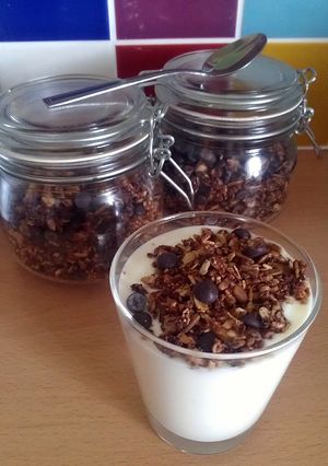 A picture of Vickys Chocolate Granola GF DF EF SF NF.
