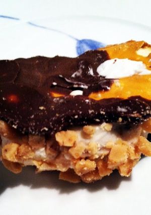A picture of Irvixen's Pretzel Ice Cream Sammies.