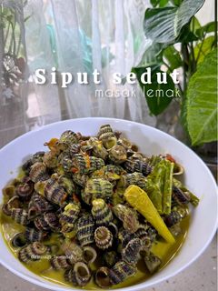 Gambar Siput sedut masak lemak