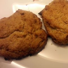 A picture of oat cookies for non-bakers (oven toaster).