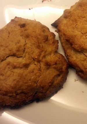 A picture of oat cookies for non-bakers (oven toaster).