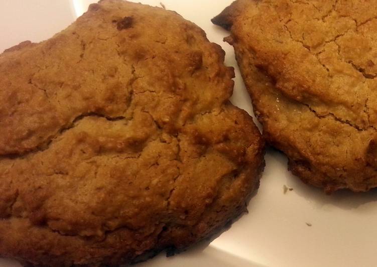 oat cookies for non-bakers (oven toaster)