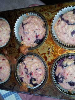 A picture of Oatmeal blueberry muffins.