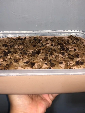 Cara Mudah Membikin Resep Chocolatos Ice Cream yang Enak Banget Anti Ribet, Bisa Manjain Lidah