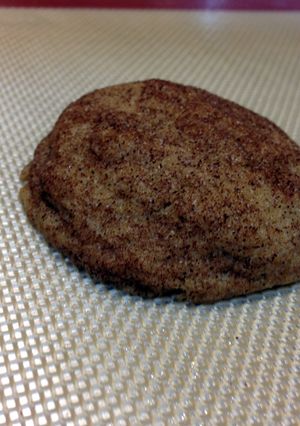 A picture of Whole Wheat Snicker Doodle Cookie.