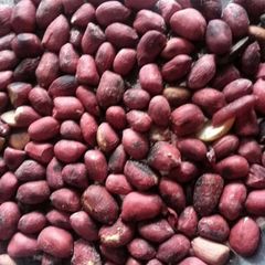 A picture of Roasted groundnuts.