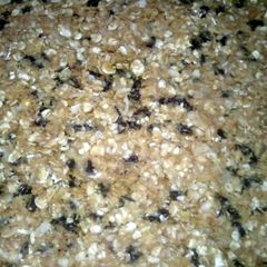 A picture of No Bake Energy Bites.