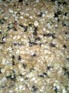 A picture of No Bake Energy Bites.