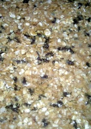A picture of No Bake Energy Bites.