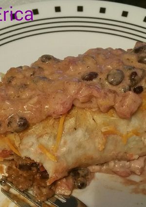 A picture of Beef and bean burrito.
