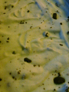 A picture of Mint chocolate chip ice cream.