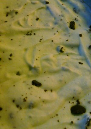 A picture of Mint chocolate chip ice cream.