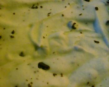 How To Prepare Recipe Mint chocolate chip ice cream Savory Delicious