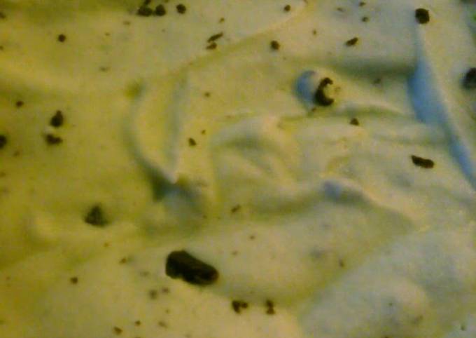 Easiest Way to Cook Perfect Mint chocolate chip ice cream