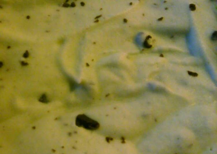 Mint chocolate chip ice cream