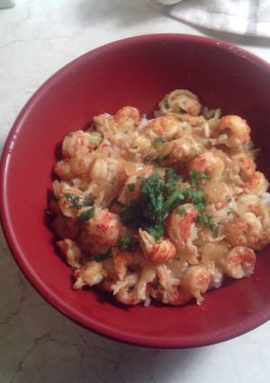 A picture of Crawfish Etouffe.