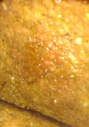 A picture of Meatloaf.