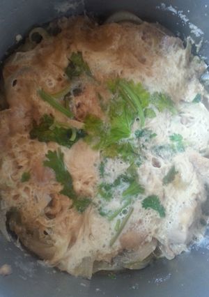 A picture of Oyagodhong or chicken steamed eeg.