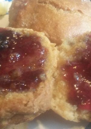 A picture of Fat Free (Virtually) Biscuts (easy).